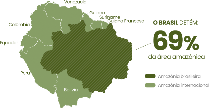 infografico-amazonia-brasileira.png